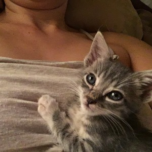 Fundraising Page: Sumi Folz